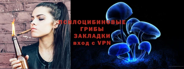 Альфа ПВП Армянск