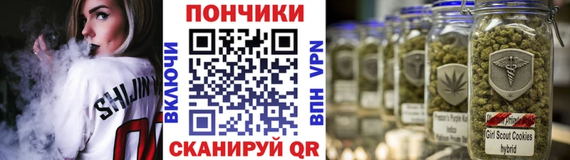 Шишки марихуана AK-47  продажа наркотиков  Пучеж 